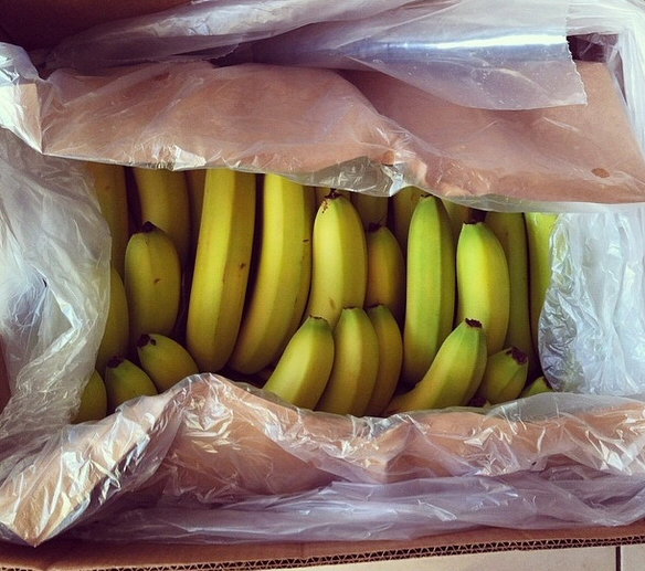 Box of Bananas